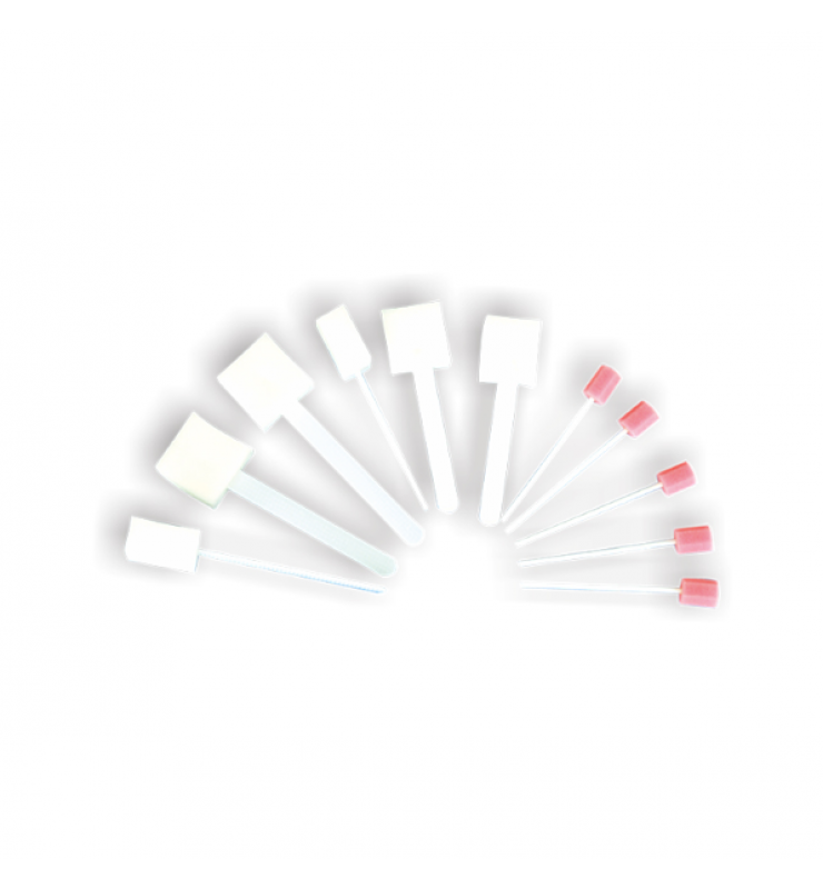 HS-F76 Sponge Clean Stick