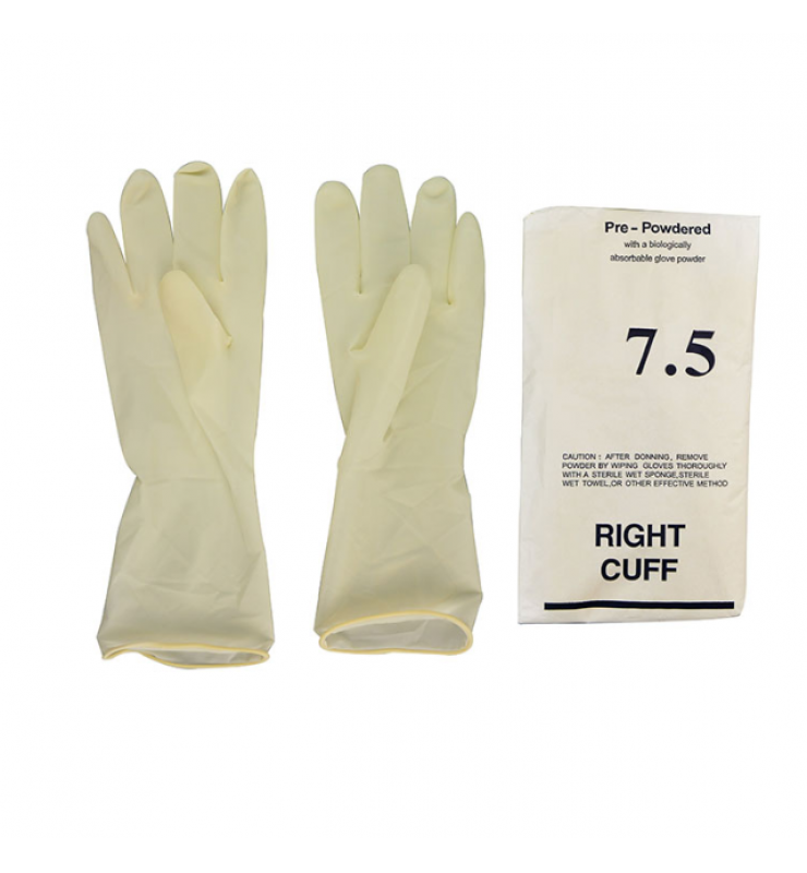 Surgical Gloves
