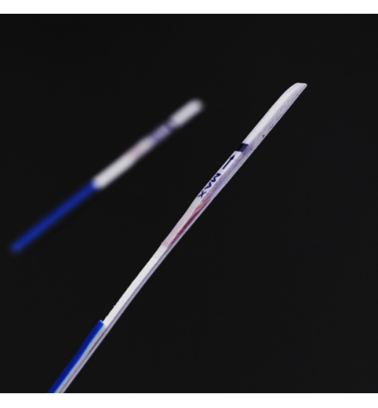 HCG Test Strip