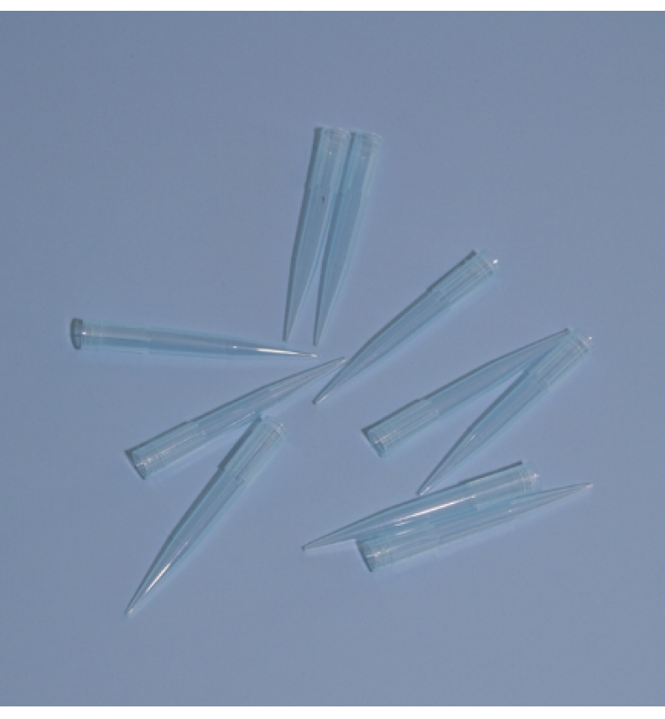 Laboratory Micro Pipette Tips 
