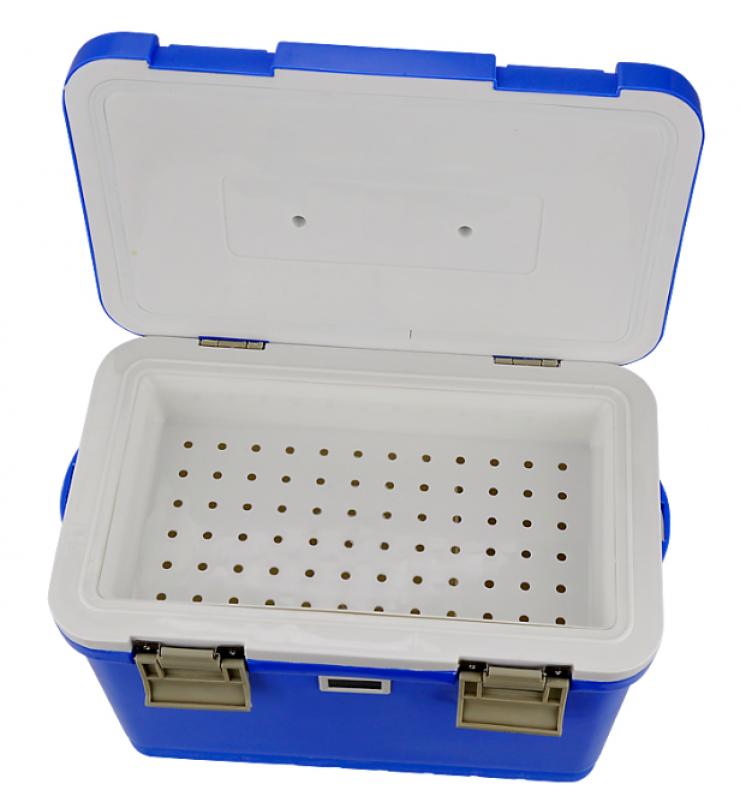 Mini Medical Cooler Box